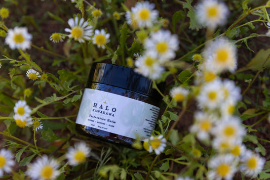 Halo Kawakawa Restorative Balm