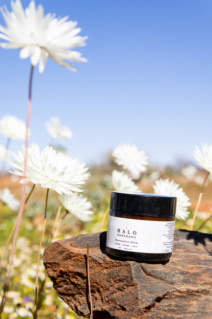 Halo Botanical Restorative Balm