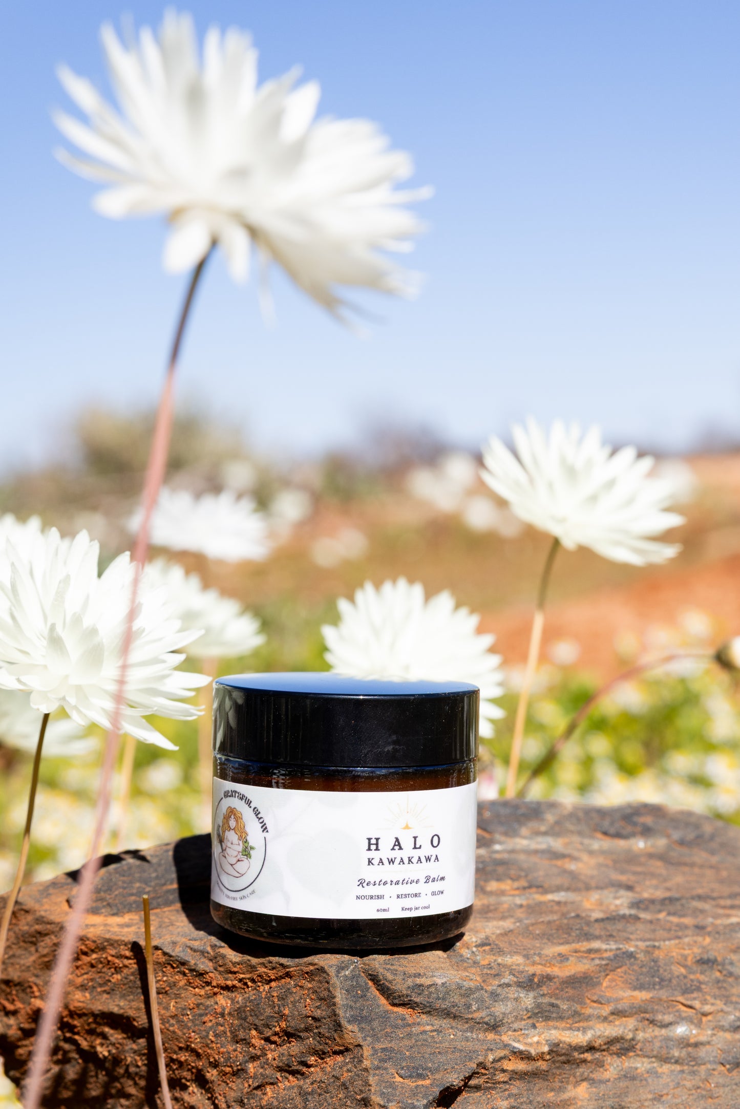 Halo Botanical Restorative Balm